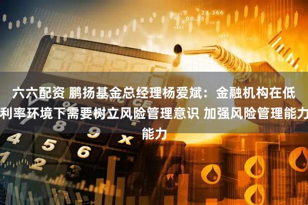 六六配资 鹏扬基金总经理杨爱斌：金融机构在低利率环境下需要树立风险管理意识 加强风险管理能力