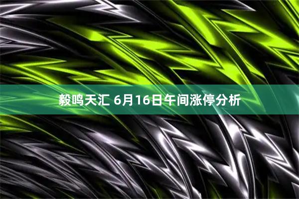 毅鸣天汇 6月16日午间涨停分析