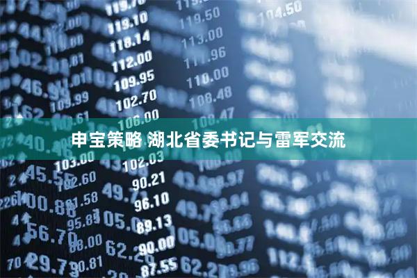 申宝策略 湖北省委书记与雷军交流