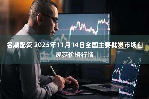 名鼎配资 2025年11月14日全国主要批发市场白灵菇价格行情